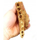 elosuchus cherifiensis (mandible)