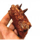 elosuchus cherifiensis (mandible)