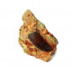 Eocharcarias sp. Dent de dinosaure Theropode