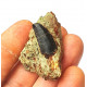 Eocharcarias sp. Dent de dinosaure Theropode