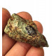 Eocharcarias sp. Dent de dinosaure Theropode