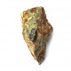 Eocharcarias sp. Dent de dinosaure Theropode