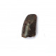 Eocharcarias sp. Dent de dinosaure Theropode