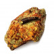 Undetermined pterosaur (tooth)