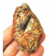 Undetermined pterosaur (tooth)