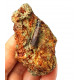Undetermined pterosaur (tooth)