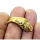 siroccopteryx moroccensis (claw)