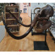 mammuthus primigenius (skull)