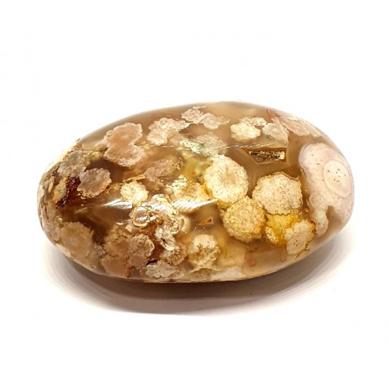 palm stone flower agate