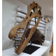 Spinosaurus aegypticus (crâne)
