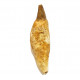 acrophyseter deinodon (dent de baleine) indonésie 12 cm