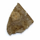 karatavoblatta formosa