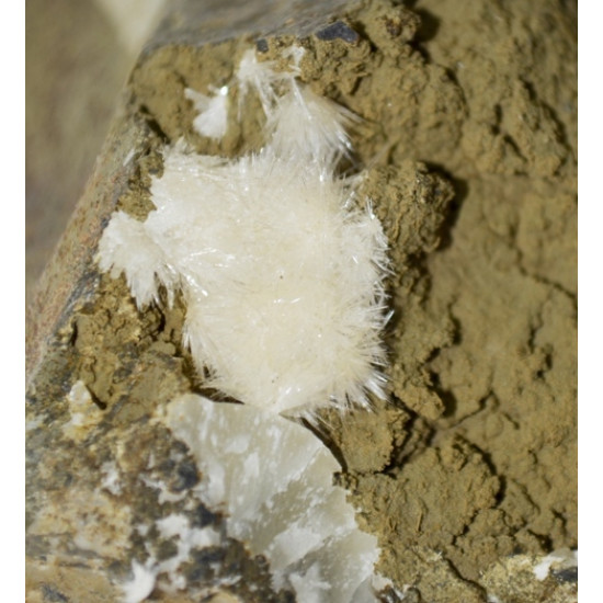 aragonite 