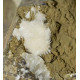 aragonite 
