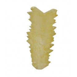 gypsum