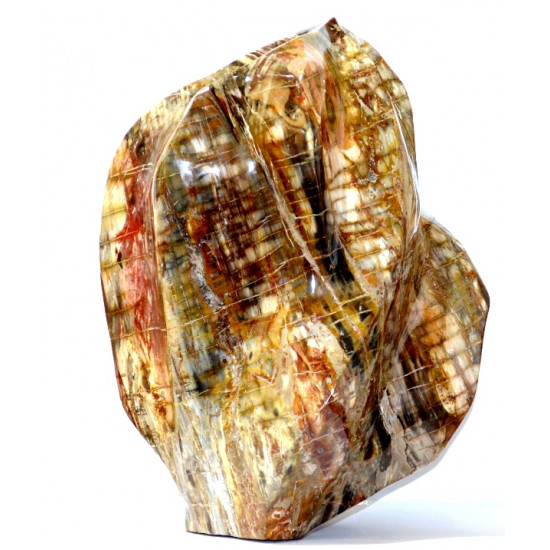 Petrified Wood Flame