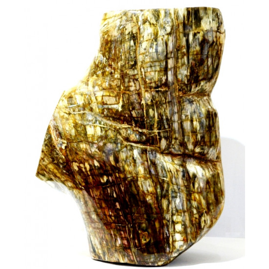 Petrified Wood Trunk
