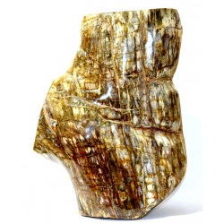 Petrified Wood Trunk