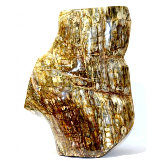 Petrified Wood Trunk