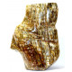 Petrified Wood Trunk