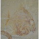 Palaeobalistum goedeli 