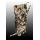 Didymoceras cheyennensis et baculites baculus