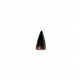 allognathosuchus sp (teeth)