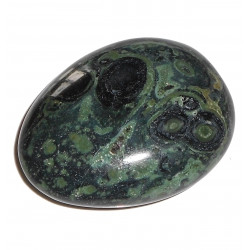 palm stone kambaba Jasper
