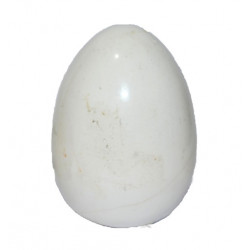 Howlite egg