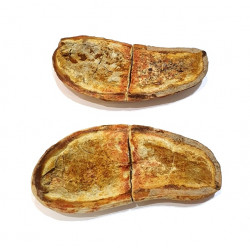Pteronisculus cicatrosus