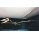 Phosphatodraco mauritanicus (Pterosaure) Phosphatodraco mauritanicus (Pterosaure)