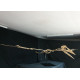 Phosphatodraco mauritanicus (Pterosaure) Phosphatodraco mauritanicus (Pterosaure)