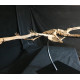Phosphatodraco mauritanicus (Pterosaure) Phosphatodraco mauritanicus (Pterosaure)
