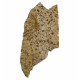 ephemeroptera sinensis