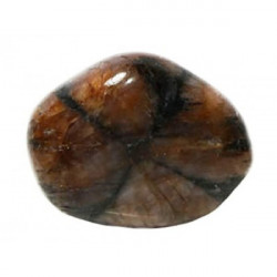 tumbled stone Chiastolite