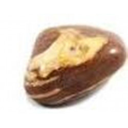 tumbled stone cappuccino jasper