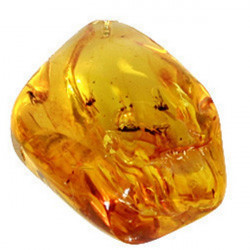 Ambre