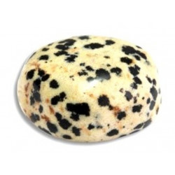 tumbled stone dalmatian jasper