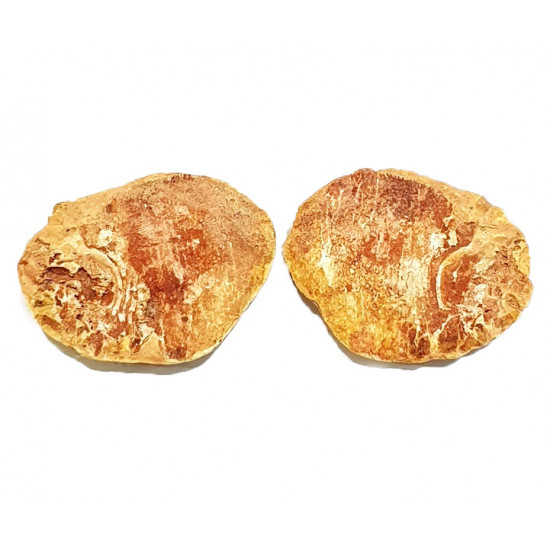 Bobasatrania mahavavica