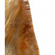 Otodus megalodon (carcharodon megalodon - megaselachus) indonésie 15,1 cm