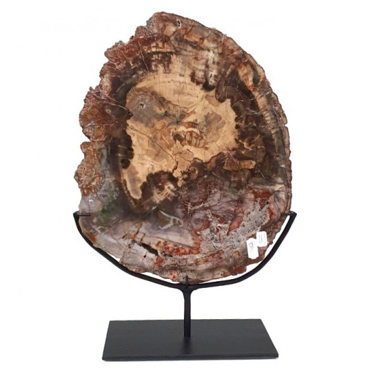 Petrified wood from madagascar 