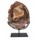 Petrified wood from madagascar 