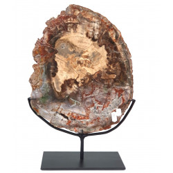 Petrified wood from madagascar 