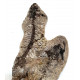 Barasaurus besairiei