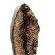 Barasaurus besairiei