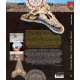 Fossils from Morocco - Volume 2a