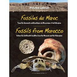 Fossils from Morocco - Volume 2a