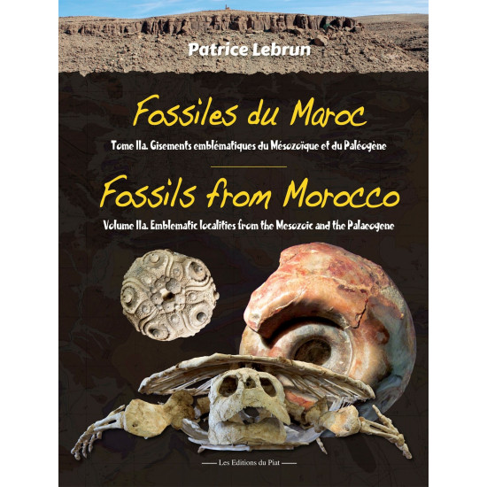 Fossils from Morocco - Volume 2a