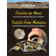 Fossils from Morocco - Volume 2a