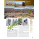 Fossils from Morocco - Volume 2a
